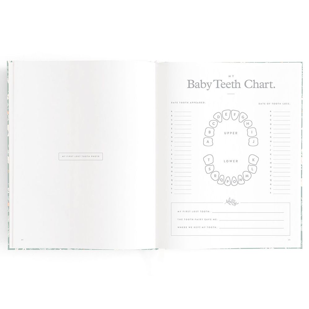 Baby Book Forest Friends Sage - Image 13