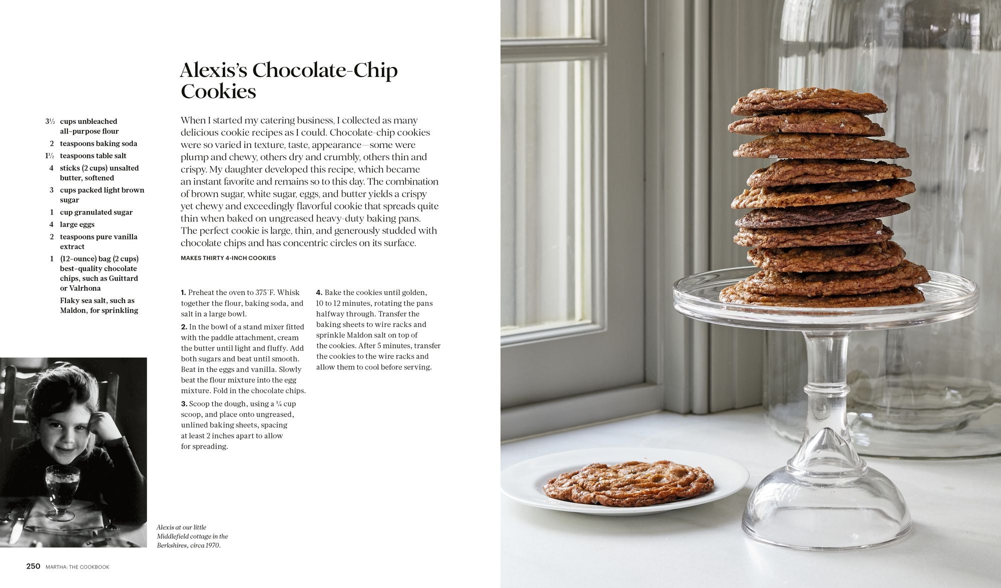 Martha: The Cookbook: 100 Favorite Recipes. with Lessons and Stories from My Kitchen - Image 9