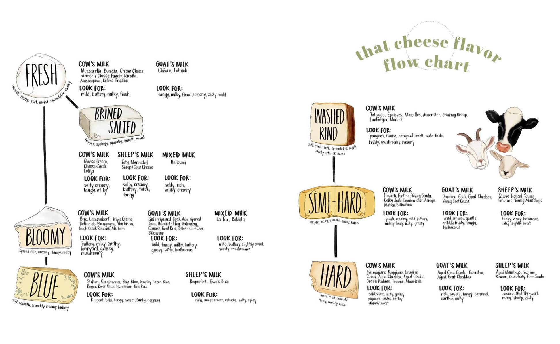 That Cheese Plate Wants to Party: Festive Boards. Spreads. and Recipes with the Cheese By Numbers Method - Image 8
