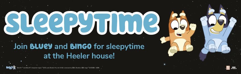 Bluey: Sleepytime - Image 7