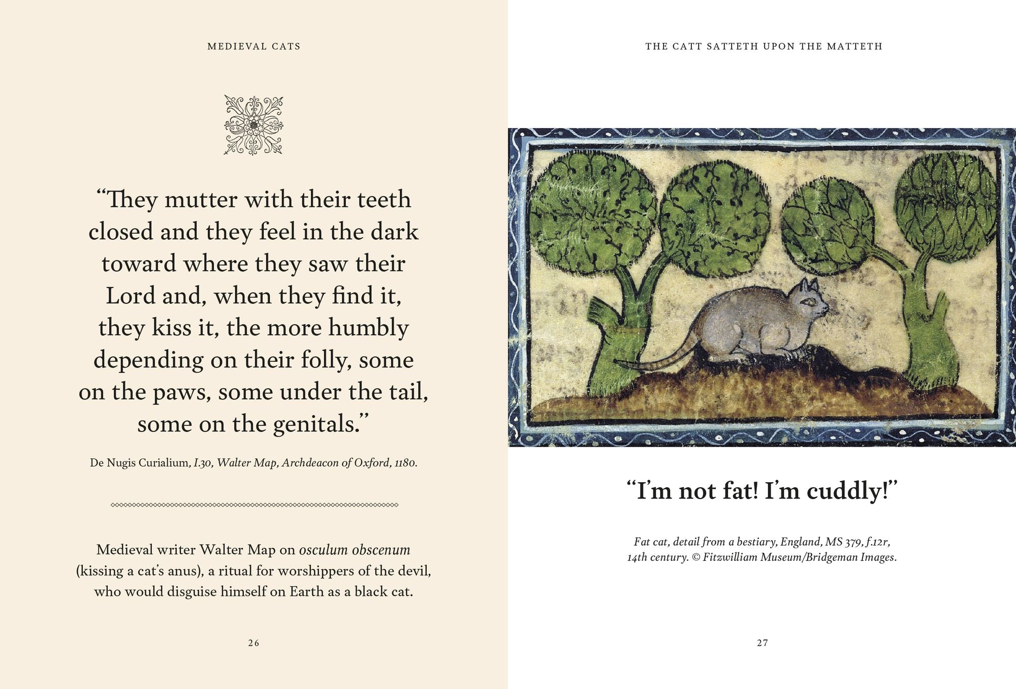 Medieval Cats: Claws. Paws. and Kitties of Yore - Image 2
