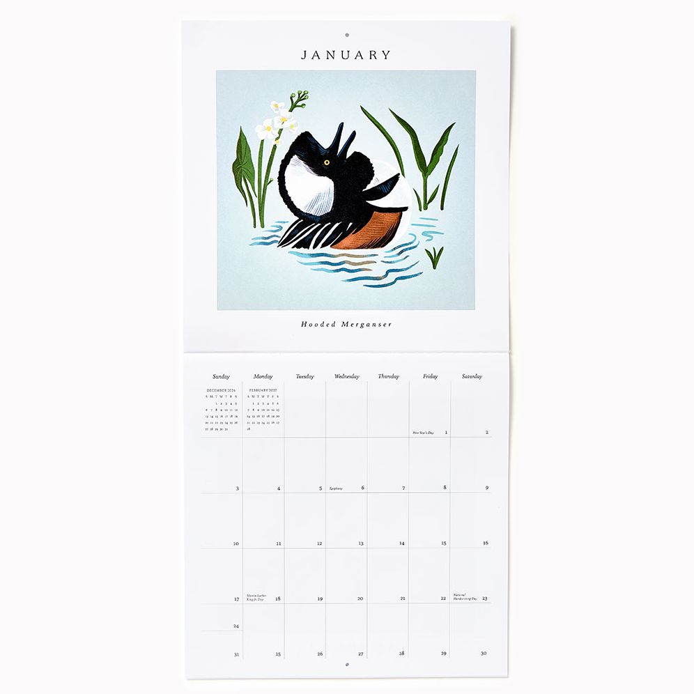 2027 Paper Source Birds Calendar - Image 3