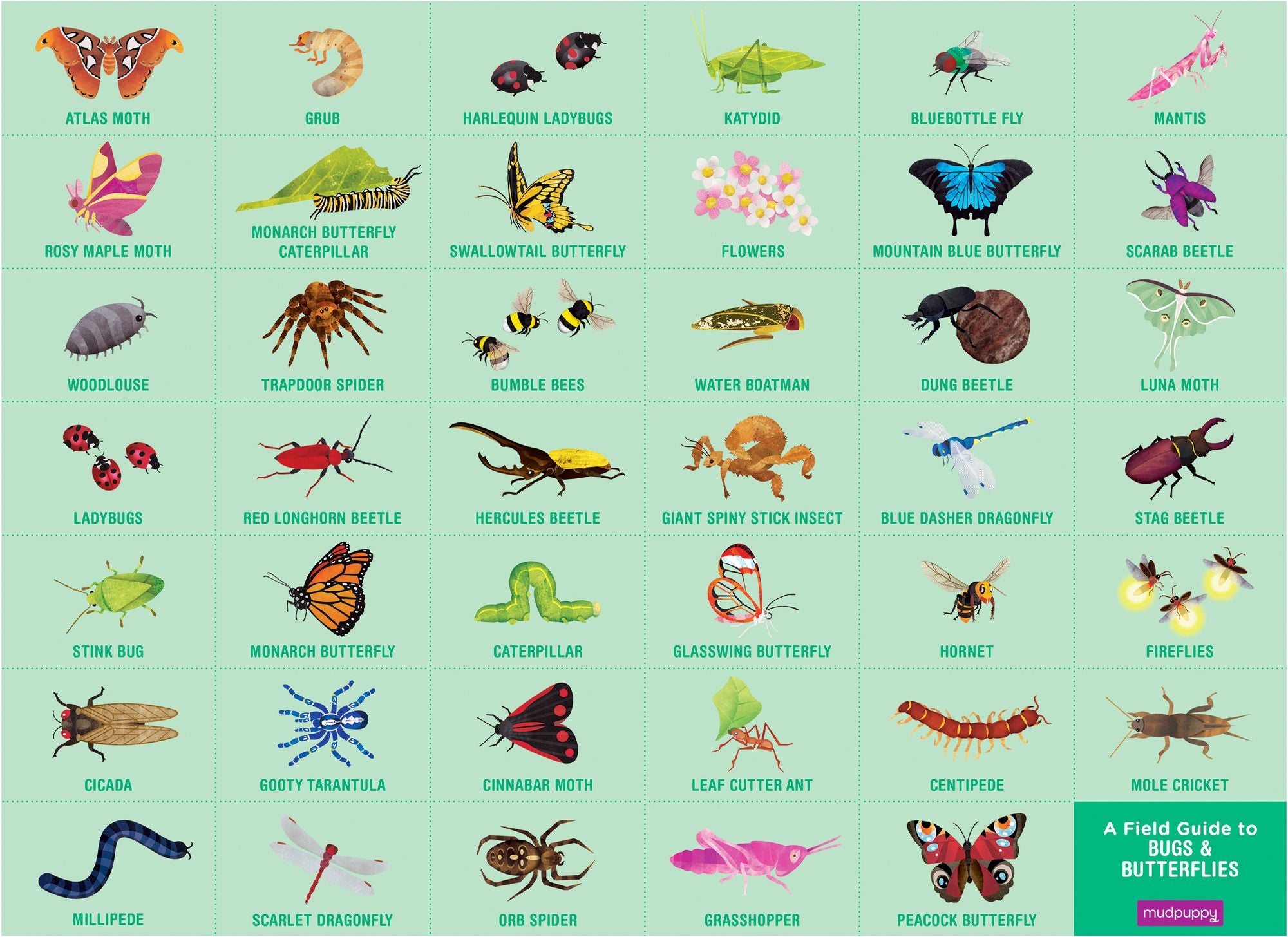 Bugs & Butterflies 64 Piece Search & Find Puzzle - Image 3