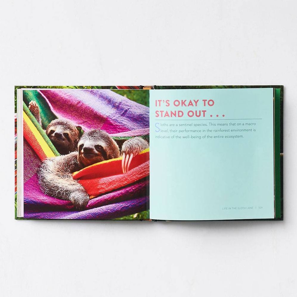 Life in the Sloth Lane: Slow Down and Smell the Hibiscus - Image 12