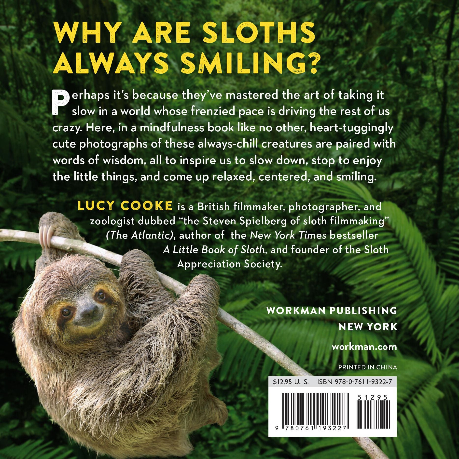 Life in the Sloth Lane: Slow Down and Smell the Hibiscus - Image 13