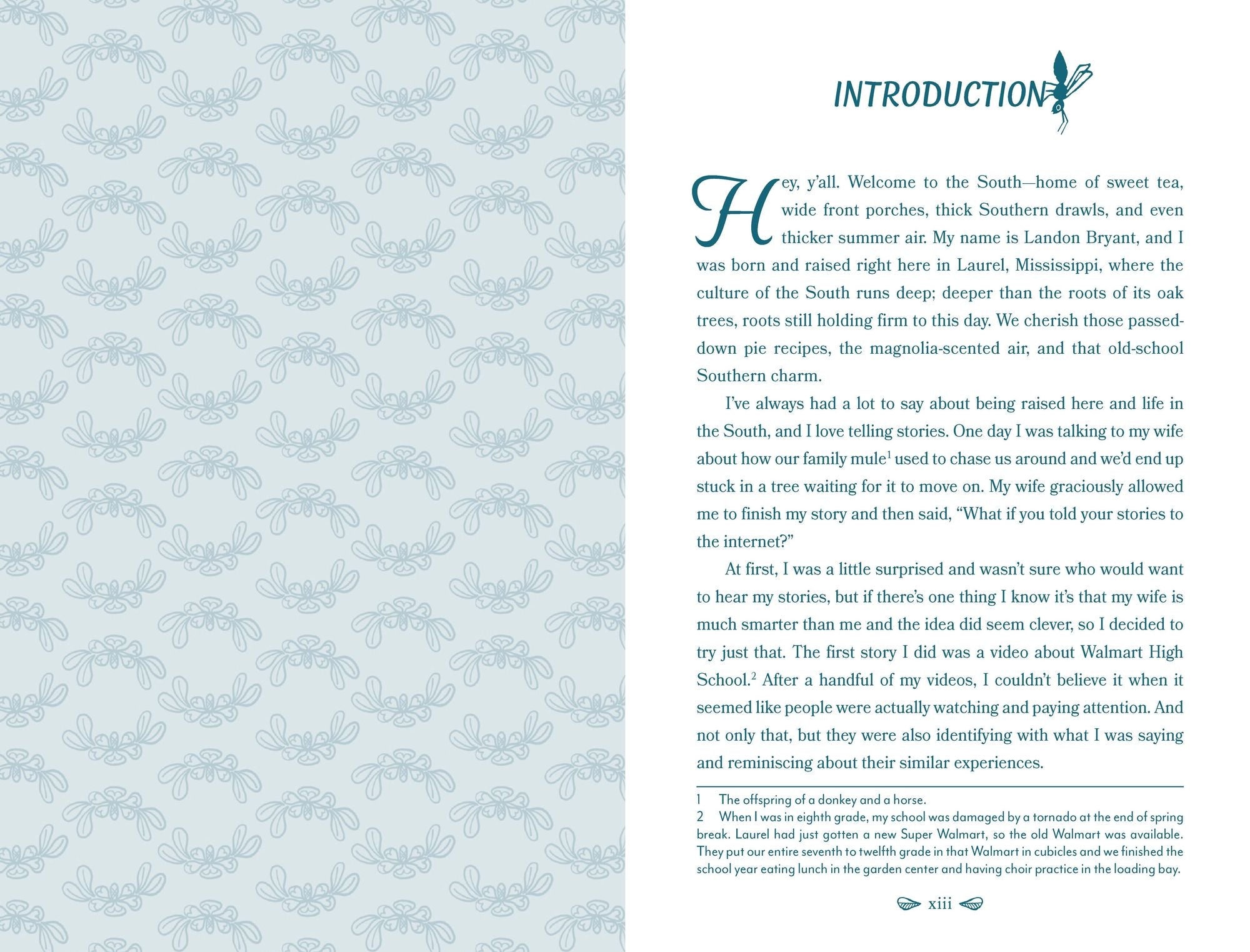 Bless Your Heart: A Field Guide to All Things Southern - Image 4