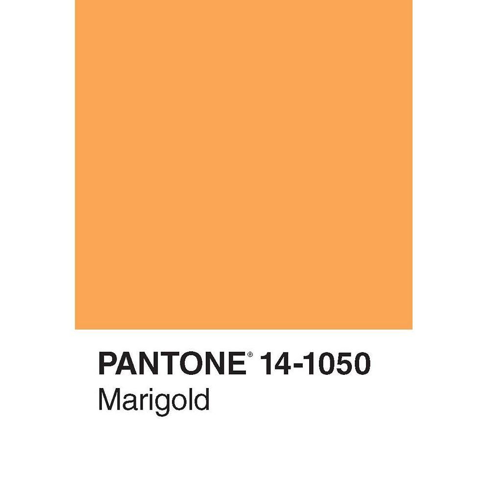 Pantone 50 Postcards - Image 3