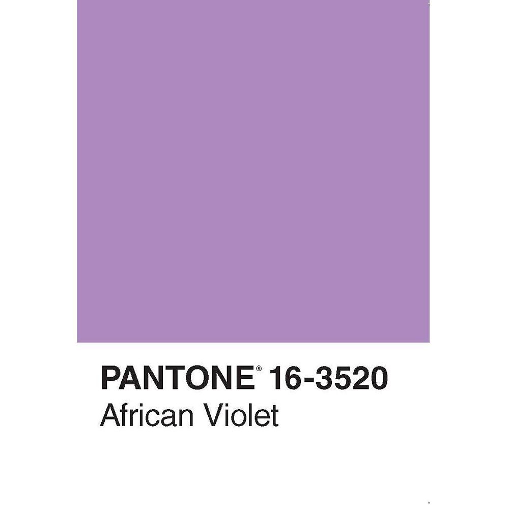 Pantone 50 Postcards - Image 4