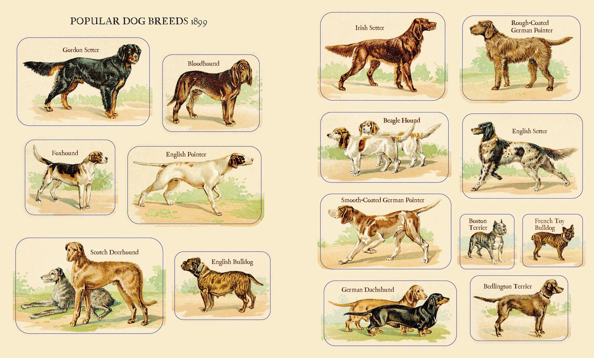 Cynthia Hart's Victoriana Dogs: The Sticker Book: 340 Captivating Stickers - Image 3