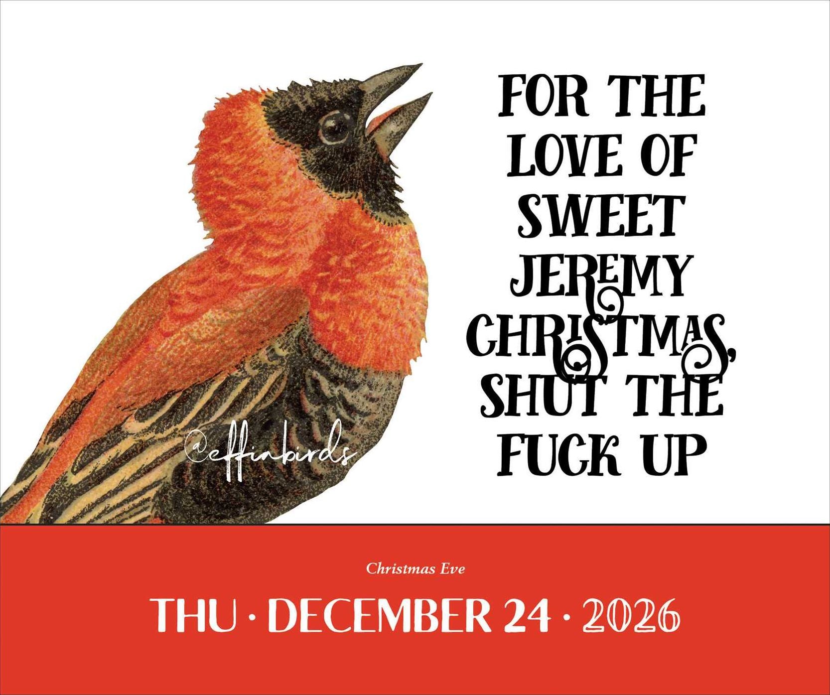 2026 Effin' Birds Day-to-Day Calendar - Image 2