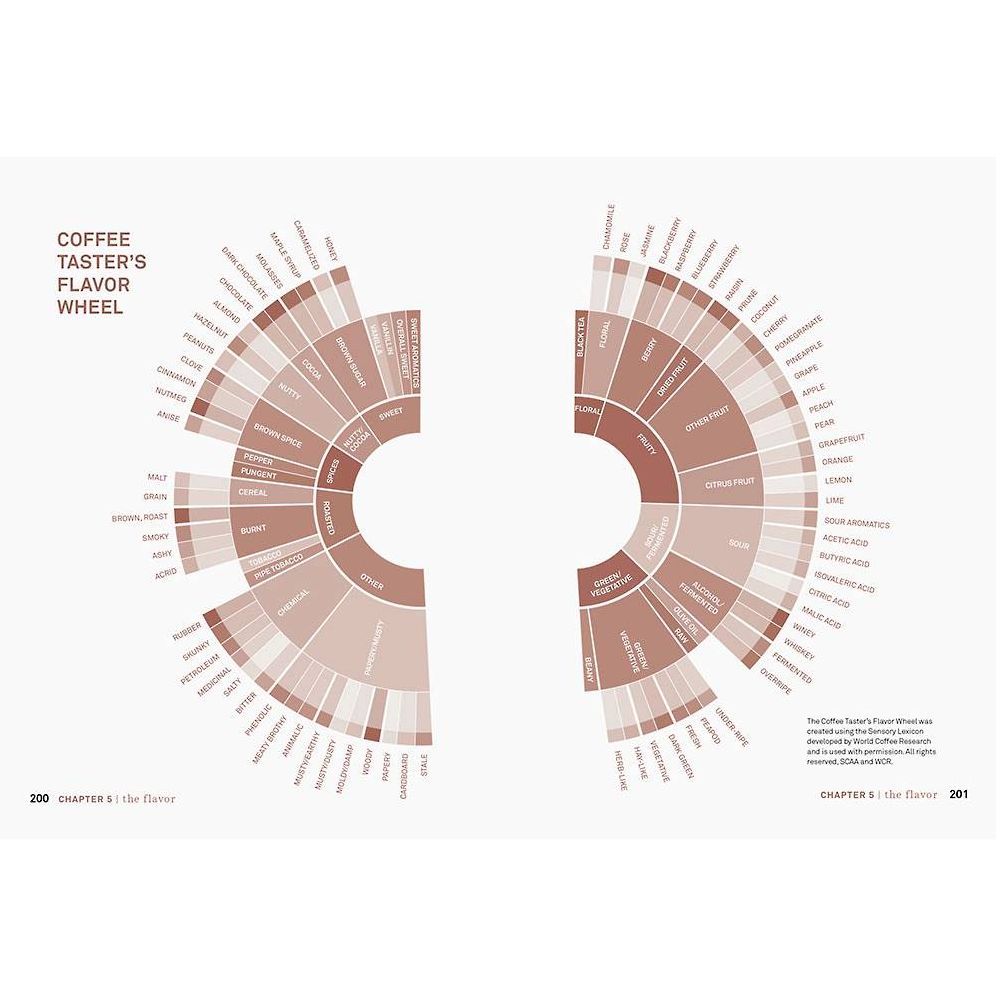 Craft Coffee: A Manual: Brewing a Better Cup at Home - Image 7