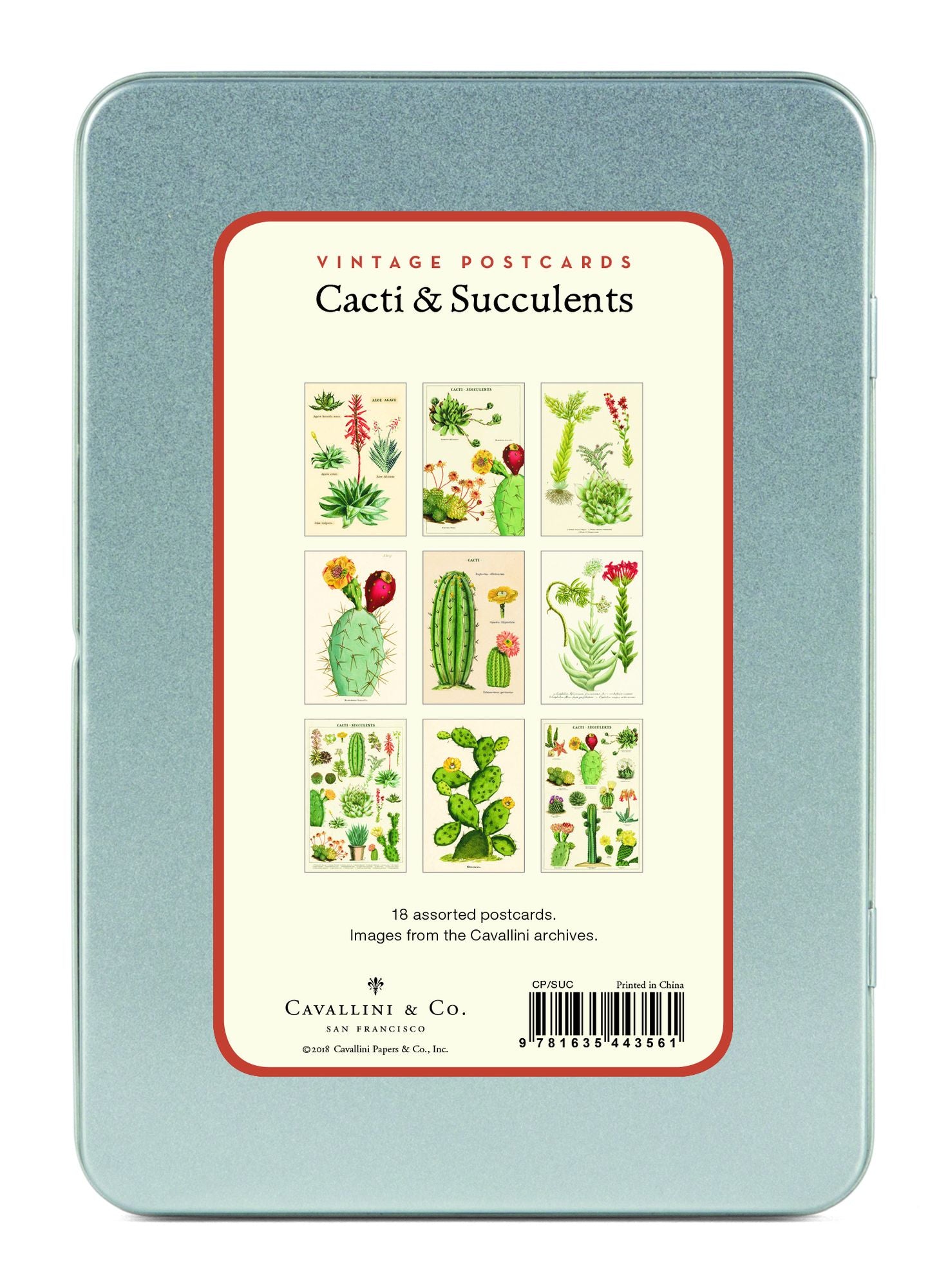 Succulents Carte Postale Postcard Set - Image 2