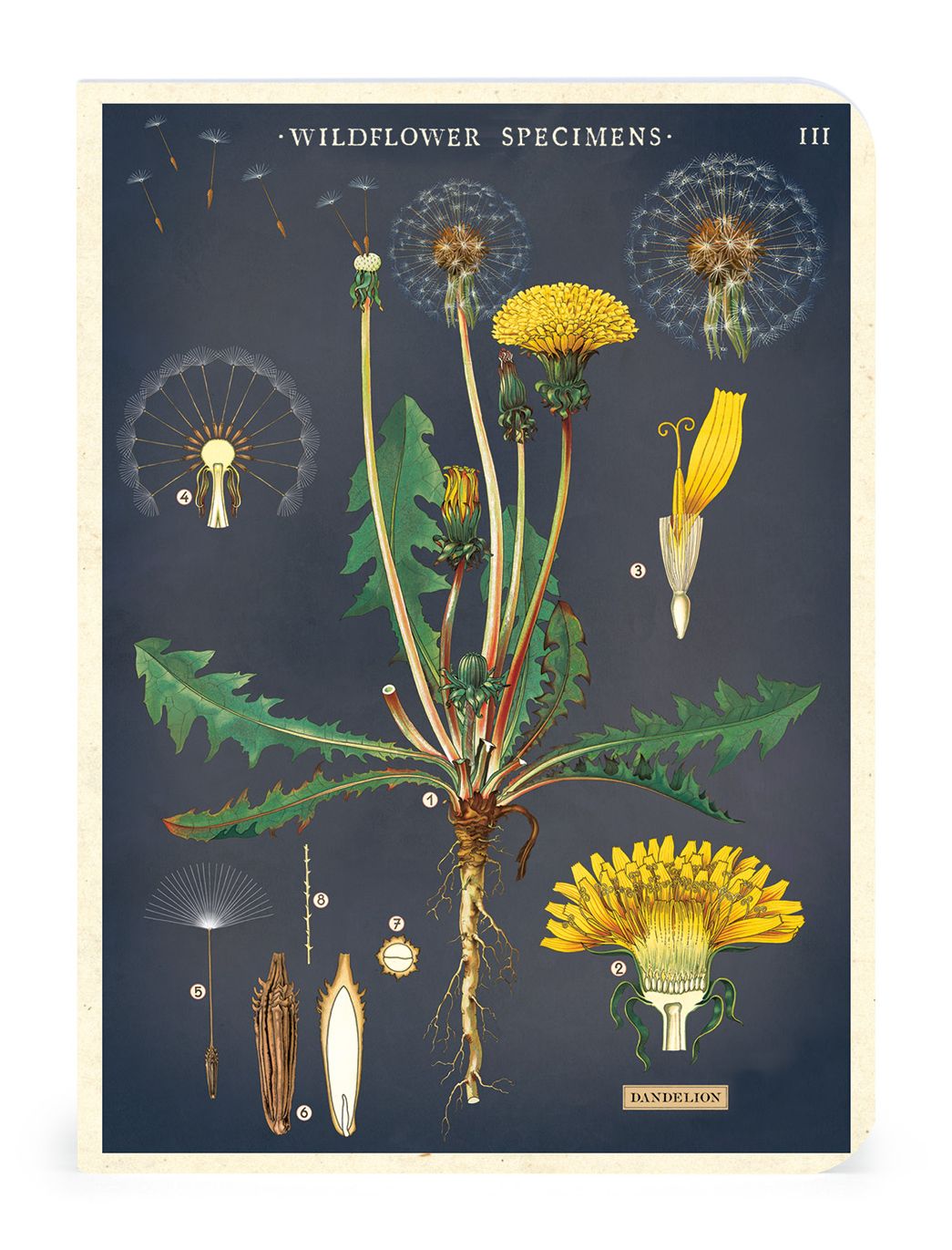 Wildflowers Mini Notebooks - Image 2