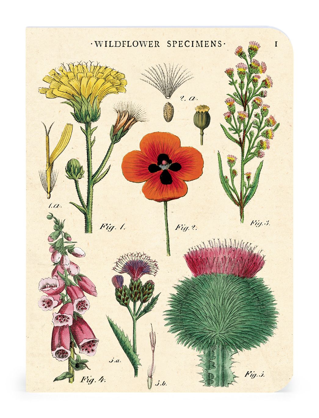 Wildflowers Mini Notebooks - Image 3