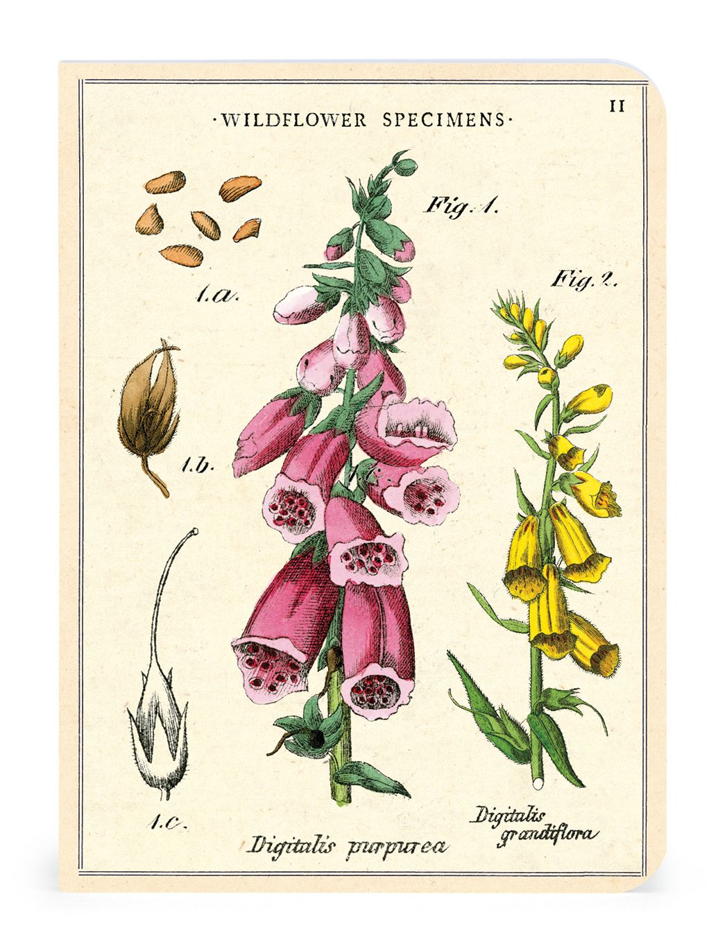 Wildflowers Mini Notebooks - Image 4