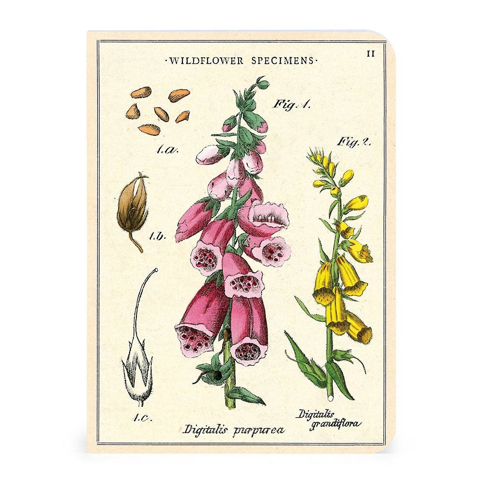 Wildflowers Mini Notebooks - Image 5