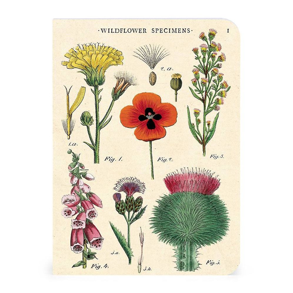 Wildflowers Mini Notebooks - Image 6