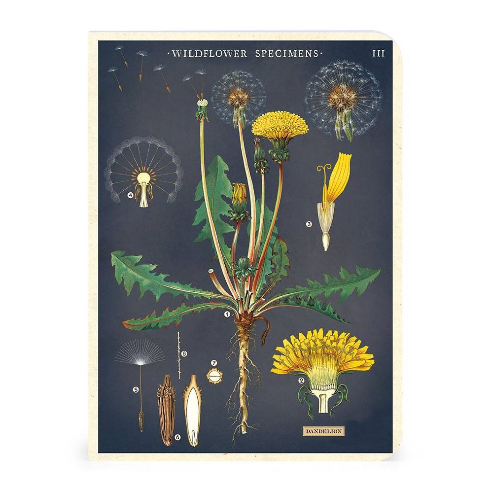 Wildflowers Mini Notebooks - Image 7