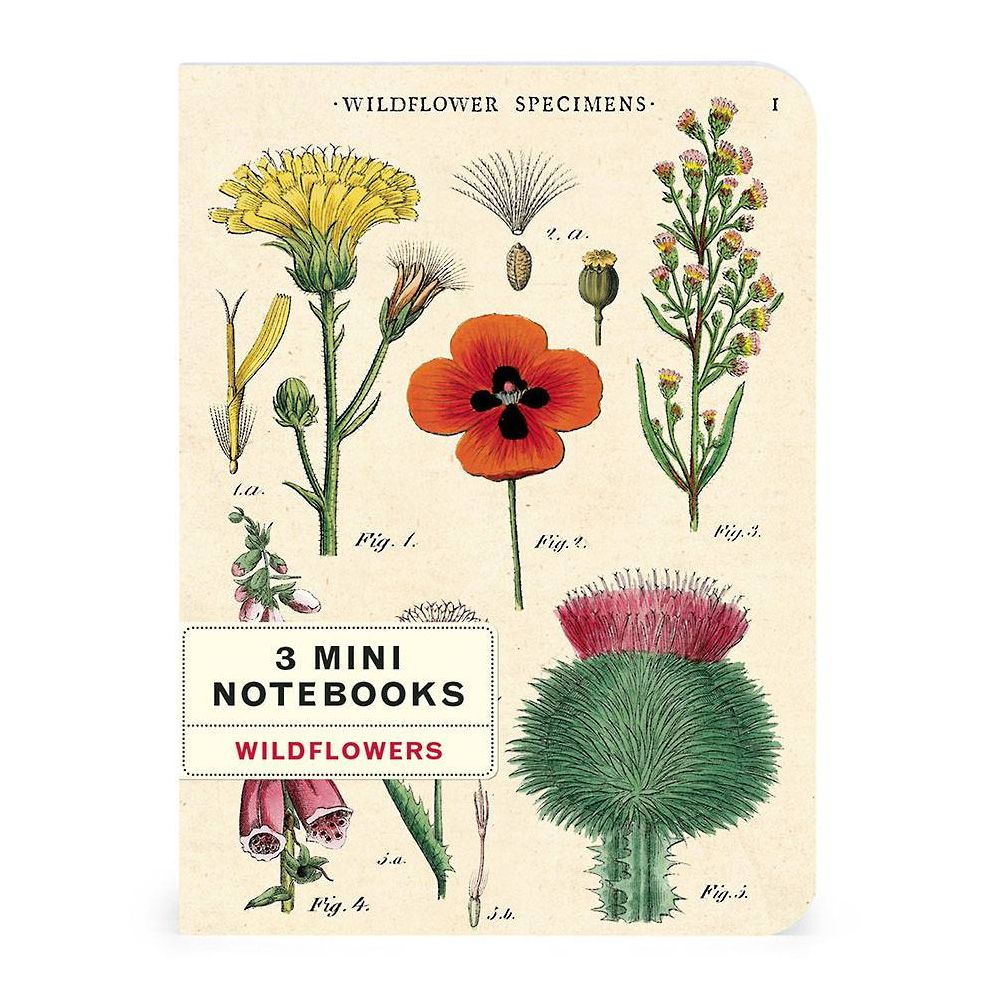 Wildflowers Mini Notebooks - Image 9