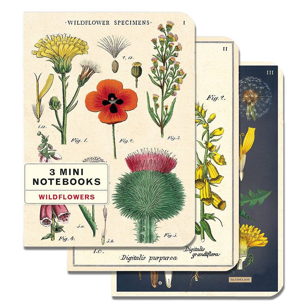 Wildflowers Mini Notebooks - Image 8