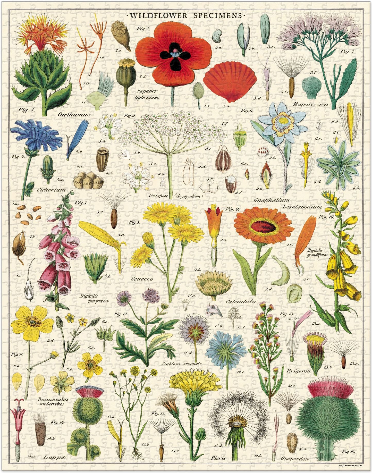 Cavallini & Co - Wildflowers 1.000 Piece Jigsaw Puzzle - Image 2