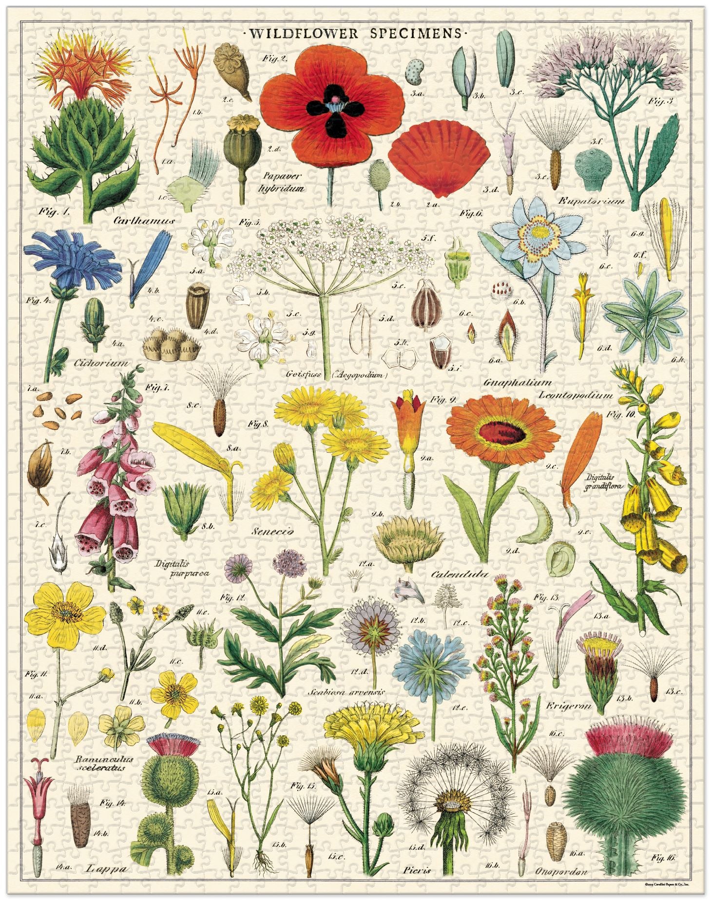 Cavallini & Co - Wildflowers 1.000 Piece Jigsaw Puzzle - Image 4