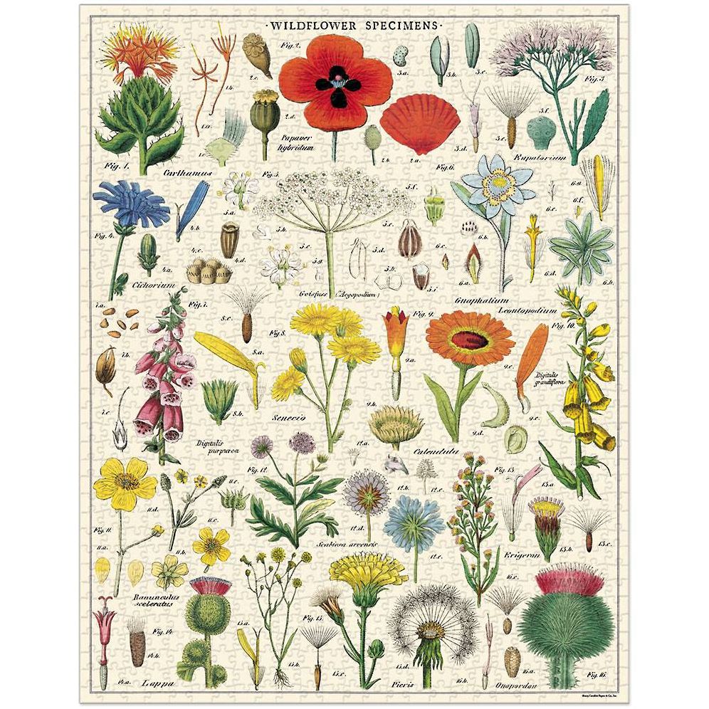 Cavallini & Co - Wildflowers 1.000 Piece Jigsaw Puzzle - Image 6