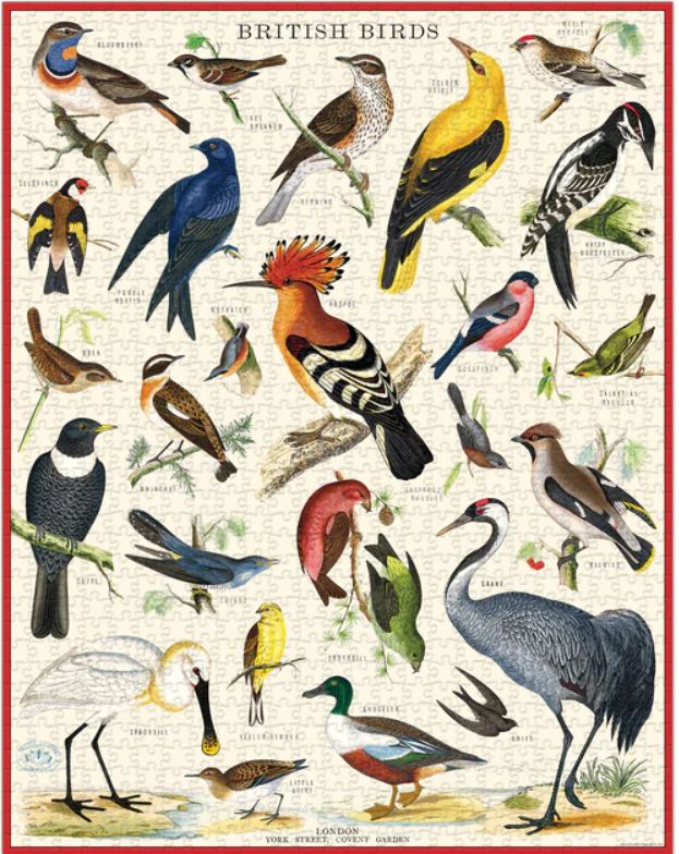 British Birds 1.000 Pc Puzzle - Image 3