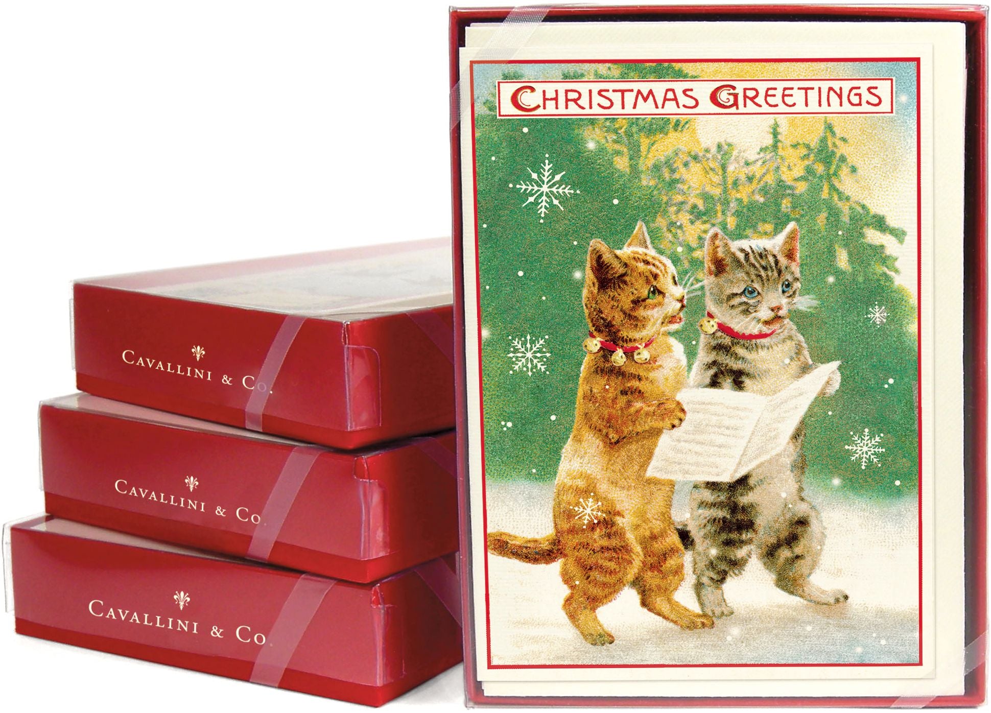 Cats Holiday Boxed Notes - Image 3