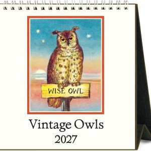 2027 Owls Desk Calendar