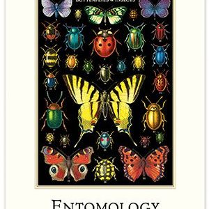 2027 Entomology Wall Calendar
