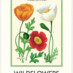 2027 Wildflowers Wall Calendar