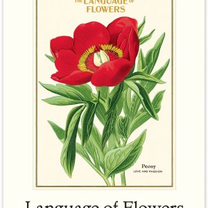 2027 Langauge of Flowers Wall Calendar