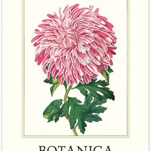 2027 Botanica Wall Calendar