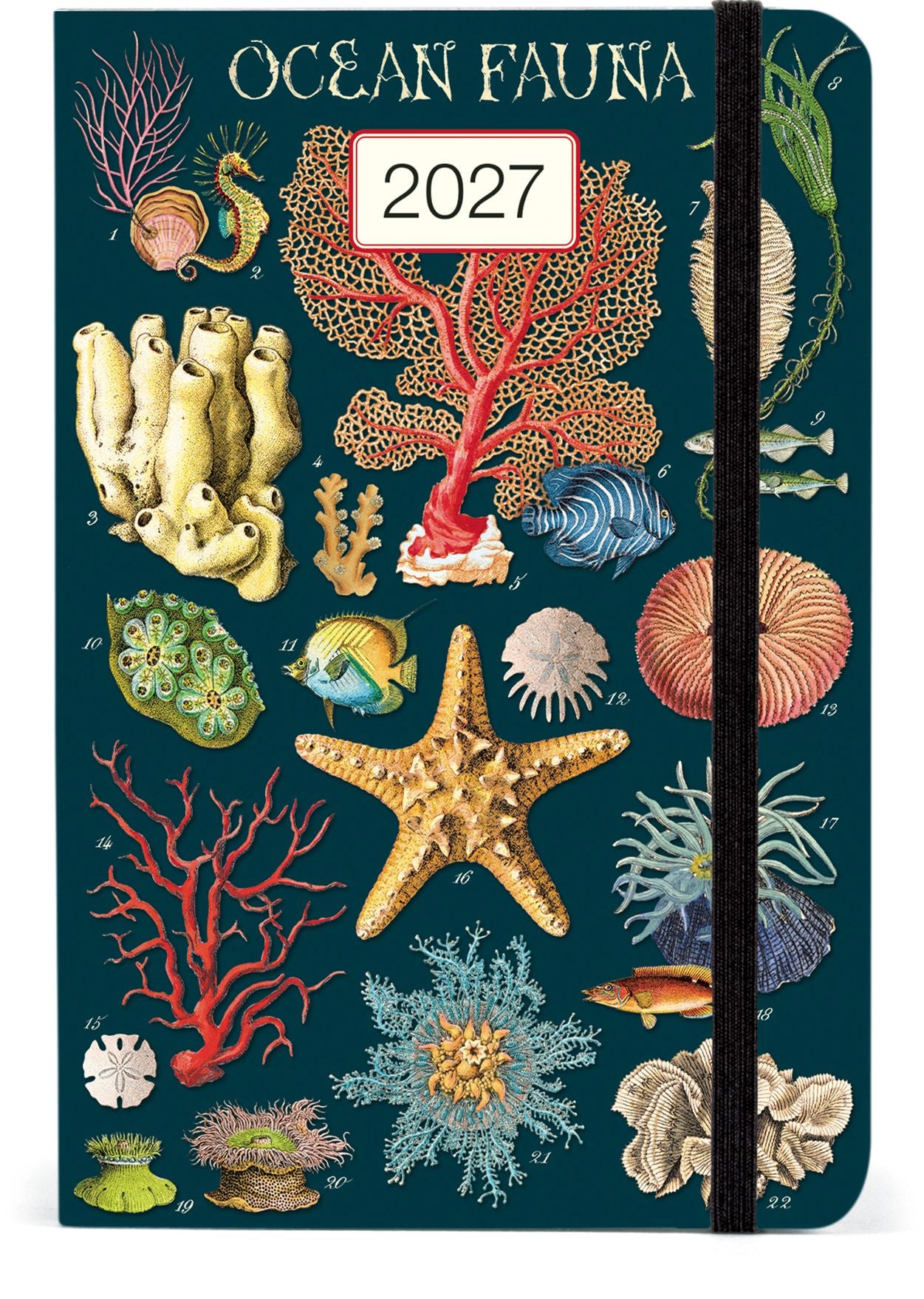 2027 Ocean Fauna Weekly Pocket Planner
