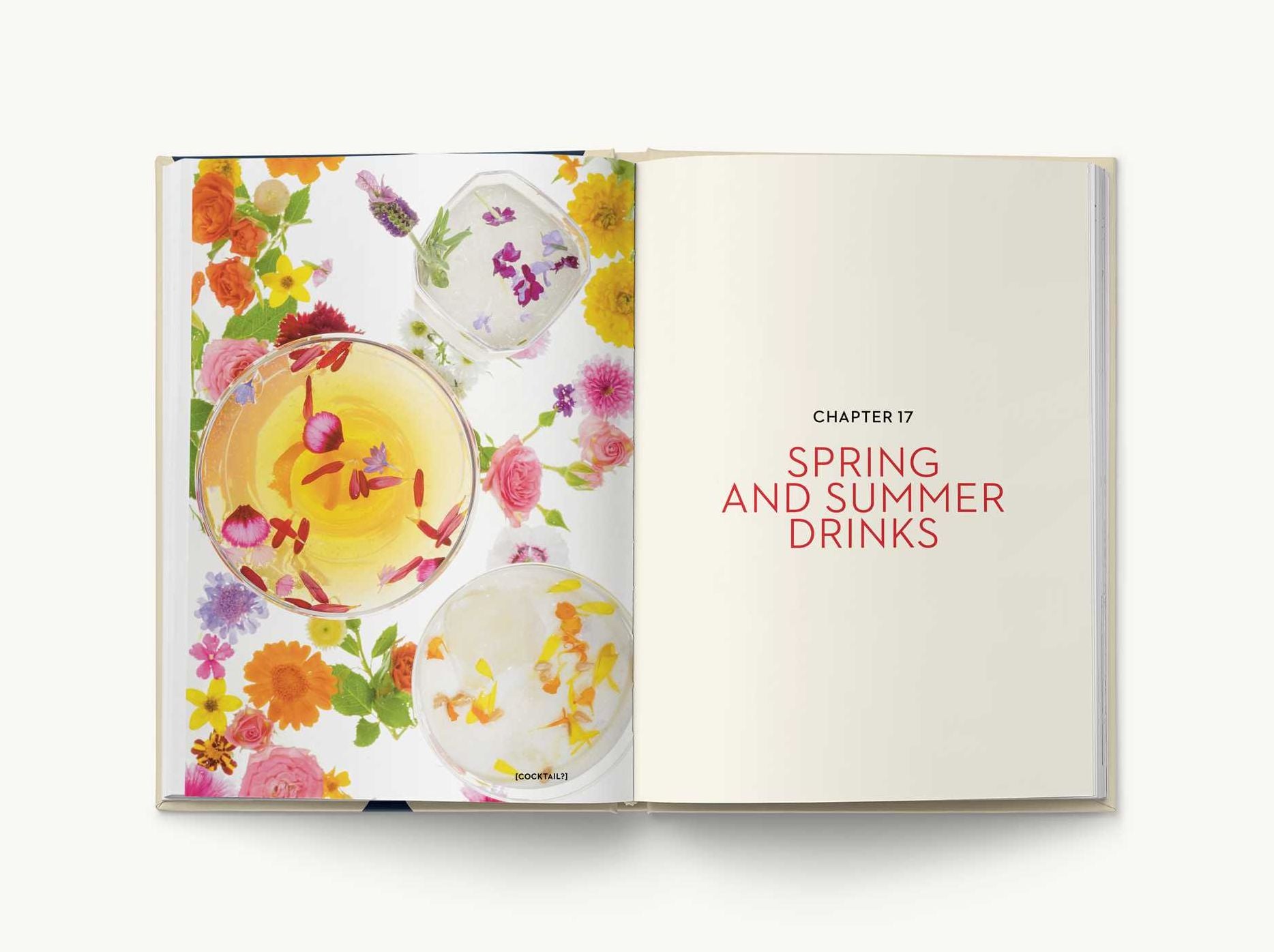 The New York Times Essential Book of Cocktails (Second Edition): Over 400 Classic Drink Recipes With Great Writing from The New York Times - Image 12