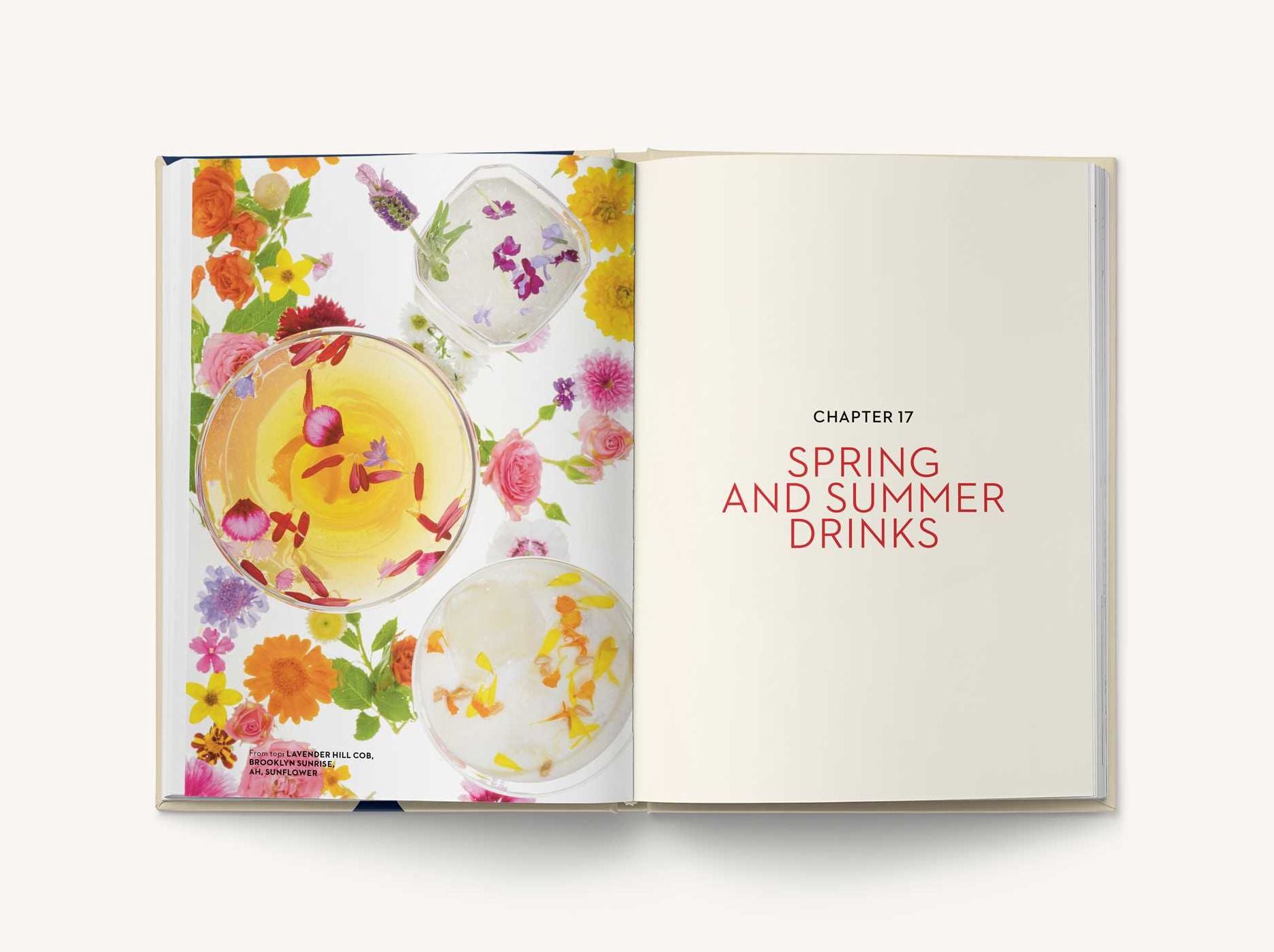 The New York Times Essential Book of Cocktails (Second Edition): Over 400 Classic Drink Recipes With Great Writing from The New York Times - Image 21