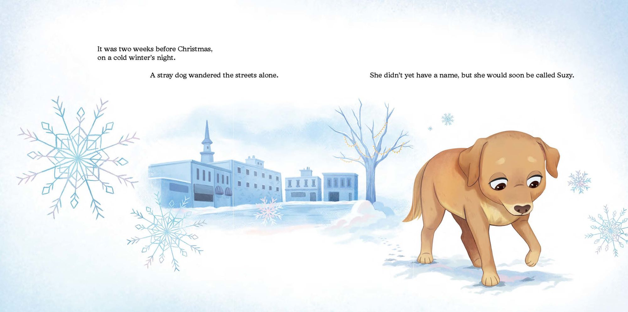 A Stray Dog for Christmas: How Suzy Was Adopted - Image 3