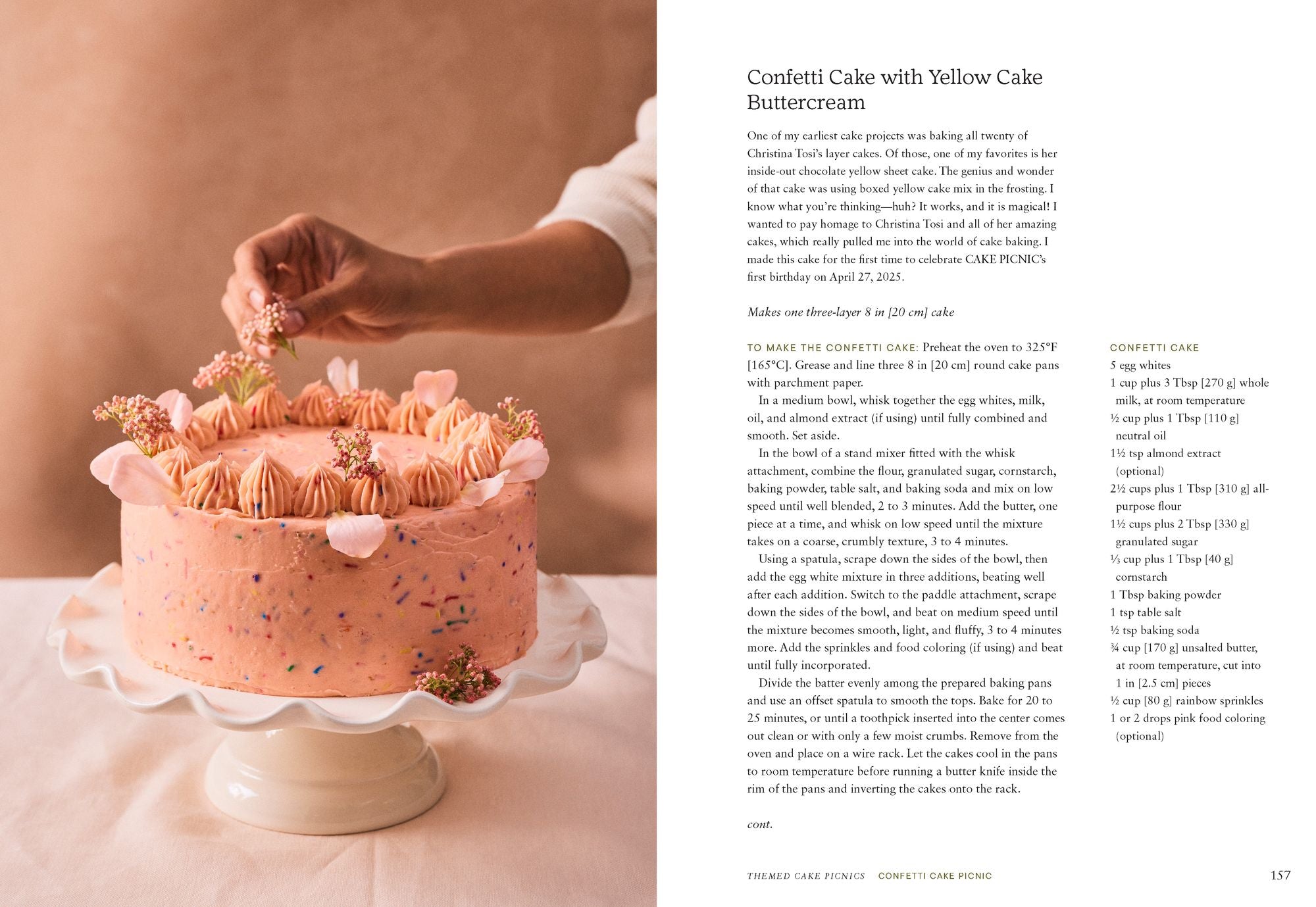 Cake Picnic: Recipes for the Love of Cake & Friends - Image 10