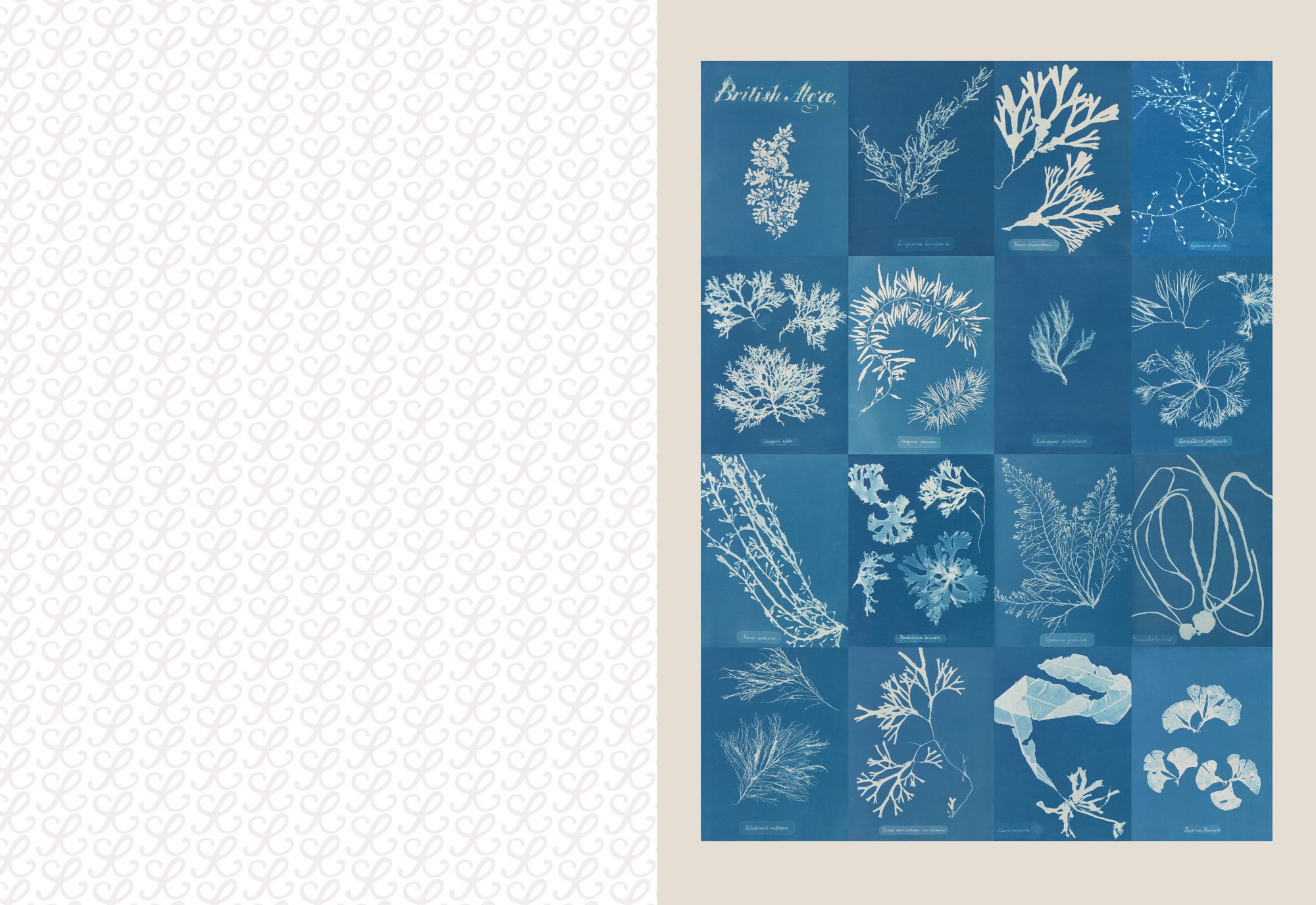 The Collage Compendium: 2.000 Images to Cut Out & Collage - Image 6