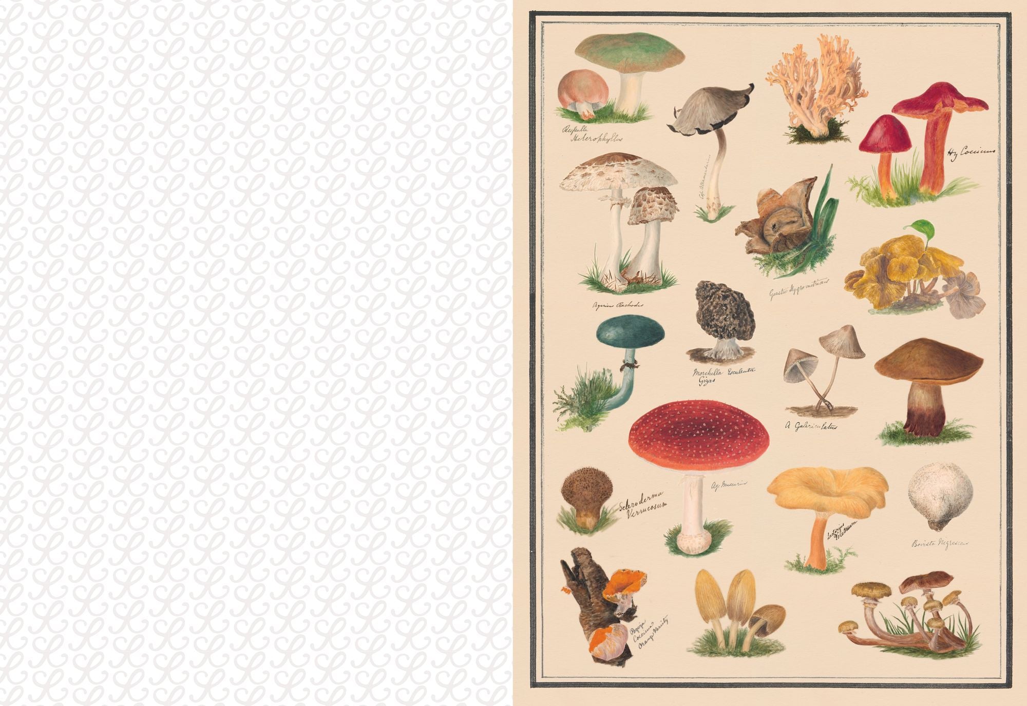 The Collage Compendium: 2.000 Images to Cut Out & Collage - Image 9