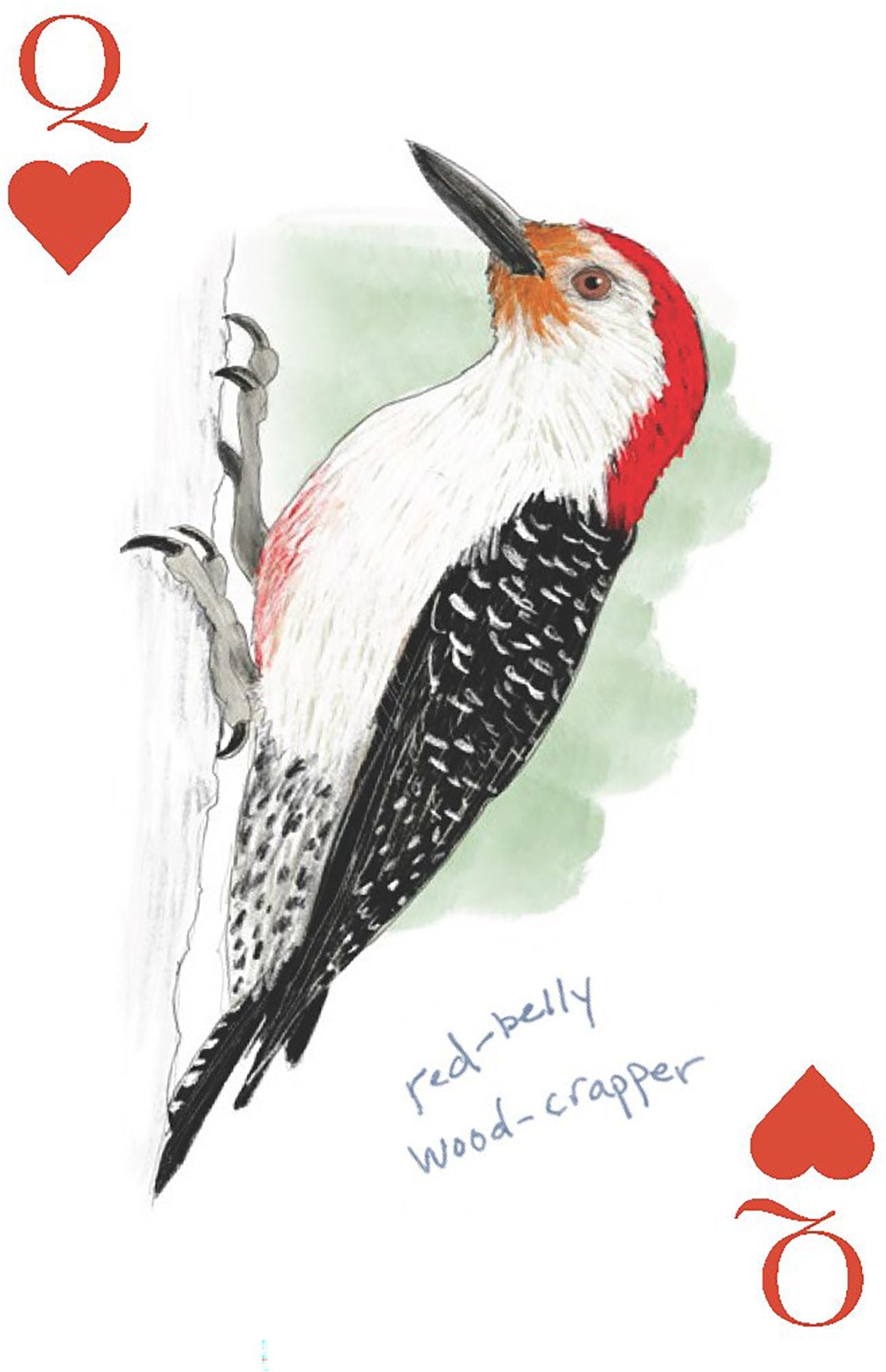 The Field Guide to Dumb Birds Playing Cards: 2-Deck Set - Image 2