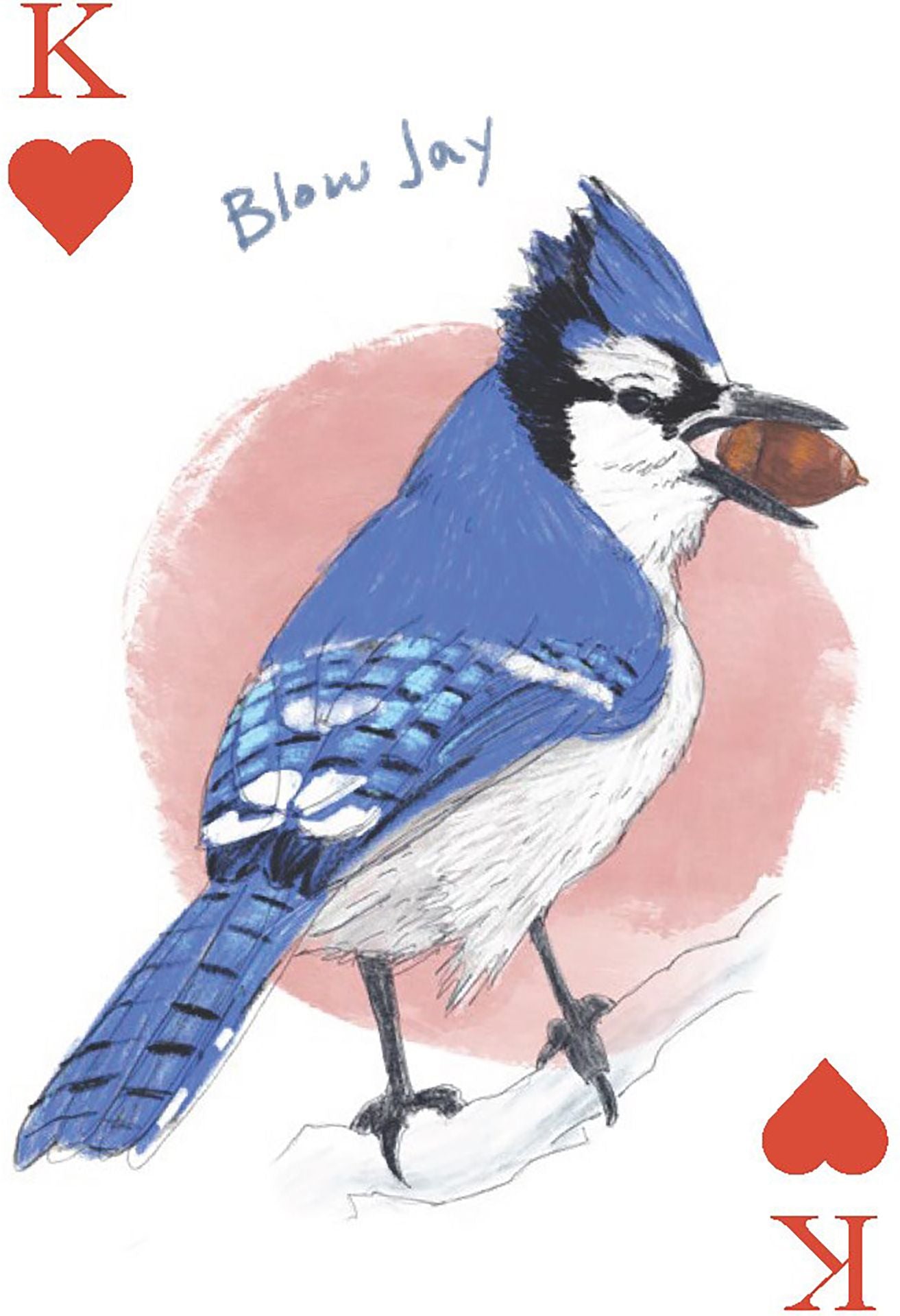 The Field Guide to Dumb Birds Playing Cards: 2-Deck Set - Image 4