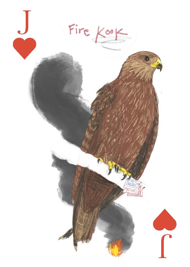 The Field Guide to Dumb Birds Playing Cards: 2-Deck Set - Image 5