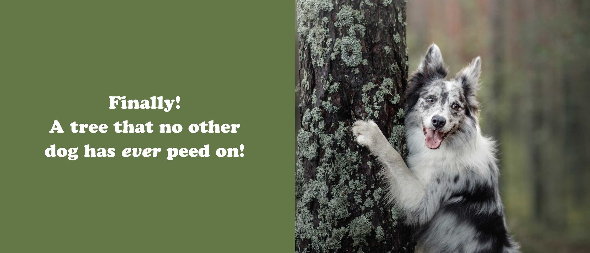 The Secret Thoughts of Dogs - Image 13