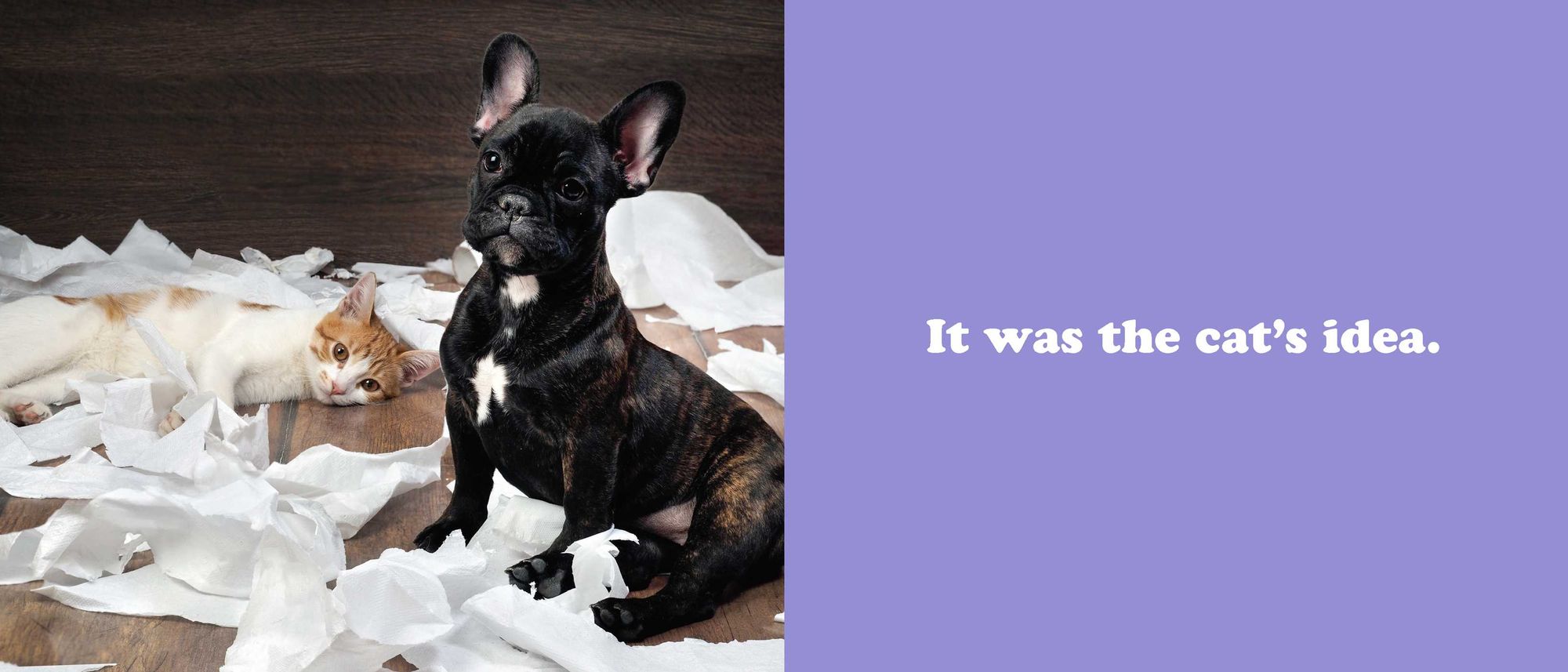 The Secret Thoughts of Dogs - Image 15