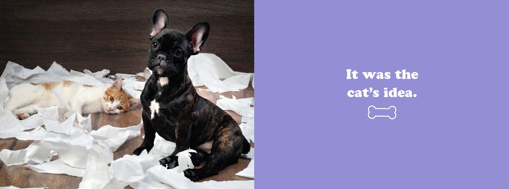 The Secret Thoughts of Dogs - Image 8