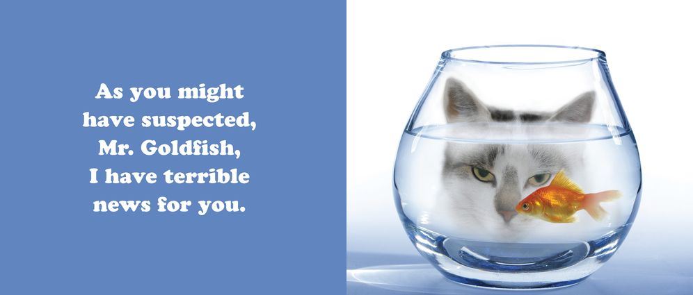 The Secret Thoughts of Cats - Image 2