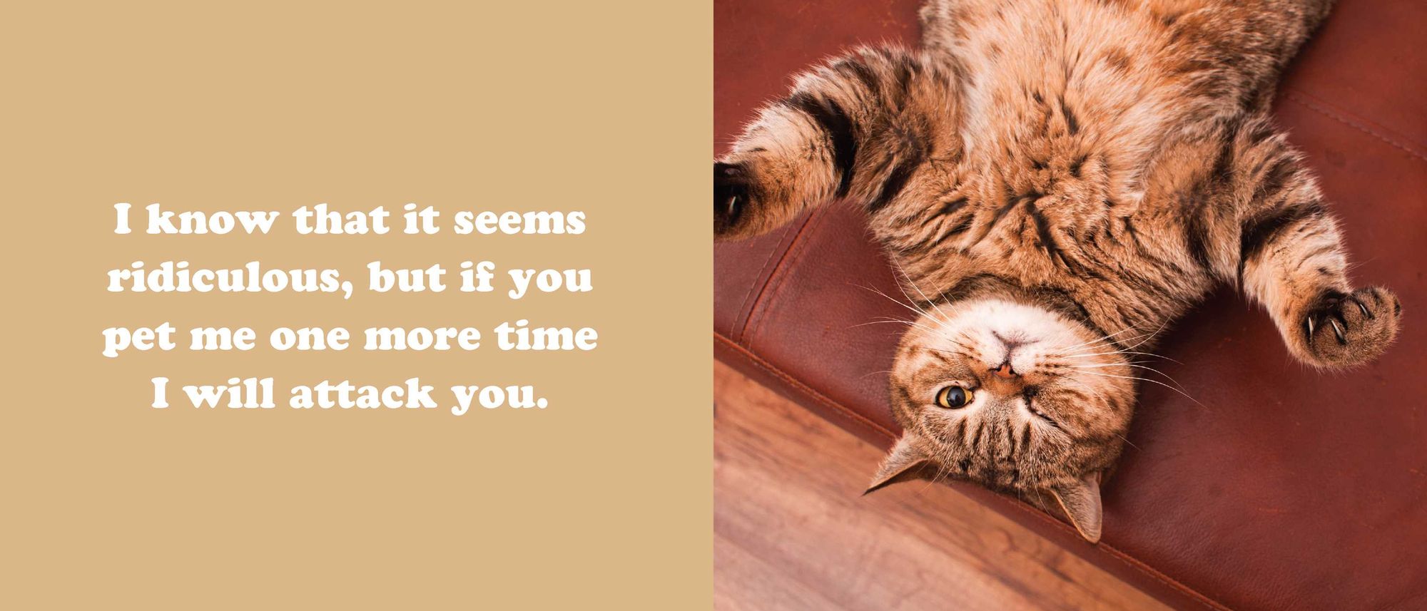 The Secret Thoughts of Cats - Image 14