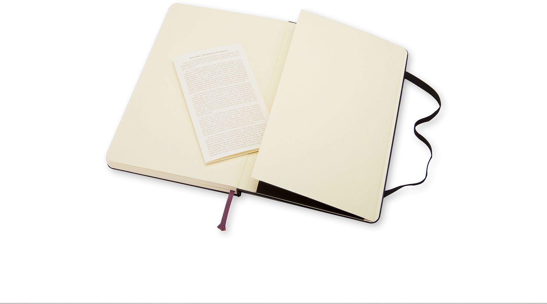 Moleskine Classic Notebook. Large. Plain. Black. Hard Cover (5 x 8.25) - Image 4